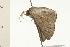 ( - 08-NSWHH-0132)  @12 [ ] CreativeCommons - Attribution (2009) Unspecified Centre for Biodiversity Genomics