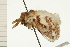  ( - 08-NSWHH-0142)  @13 [ ] CreativeCommons - Attribution (2009) Unspecified Centre for Biodiversity Genomics