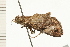  ( - 08-NSWHH-0157)  @12 [ ] CreativeCommons - Attribution (2009) Unspecified Centre for Biodiversity Genomics