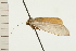  ( - 08-NSWHH-0204)  @13 [ ] CreativeCommons - Attribution (2009) Unspecified Centre for Biodiversity Genomics