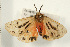  ( - 08-NSWHH-0223)  @13 [ ] CreativeCommons - Attribution (2009) Unspecified Centre for Biodiversity Genomics