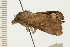  ( - 08-NSWHH-0254)  @12 [ ] CreativeCommons - Attribution (2009) Unspecified Centre for Biodiversity Genomics