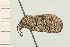  ( - 08-NSWHH-0263)  @13 [ ] CreativeCommons - Attribution (2009) Unspecified Centre for Biodiversity Genomics