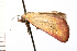  ( - 08-NSWHH-0272)  @12 [ ] CreativeCommons - Attribution (2009) Unspecified Centre for Biodiversity Genomics