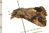  ( - 08-NSWHH-0313)  @12 [ ] CreativeCommons - Attribution (2009) Unspecified Centre for Biodiversity Genomics