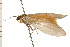  ( - 08-NSWHH-0347)  @12 [ ] CreativeCommons - Attribution (2009) Unspecified Centre for Biodiversity Genomics