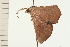  ( - 08-NSWHH-0352)  @12 [ ] CreativeCommons - Attribution (2009) Unspecified Centre for Biodiversity Genomics