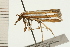  ( - 08-NSWHH-0353)  @12 [ ] CreativeCommons - Attribution (2009) Unspecified Centre for Biodiversity Genomics