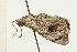  ( - 08-NSWHH-0358)  @12 [ ] CreativeCommons - Attribution (2009) Unspecified Centre for Biodiversity Genomics