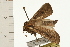  ( - 08-NSWHH-0364)  @14 [ ] CreativeCommons - Attribution (2009) Unspecified Centre for Biodiversity Genomics