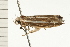  ( - 08-NSWHH-1001)  @13 [ ] CreativeCommons - Attribution (2009) Unspecified Centre for Biodiversity Genomics