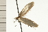  ( - 08-NSWHH-1065)  @12 [ ] CreativeCommons - Attribution (2009) Unspecified Centre for Biodiversity Genomics