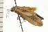  ( - 08-NSWHH-1078)  @12 [ ] CreativeCommons - Attribution (2009) Unspecified Centre for Biodiversity Genomics