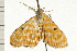  ( - 08-NSWHH-1097)  @13 [ ] CreativeCommons - Attribution (2009) Unspecified Centre for Biodiversity Genomics