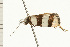  ( - 08-NSWHH-1111)  @12 [ ] CreativeCommons - Attribution (2009) Unspecified Centre for Biodiversity Genomics