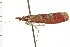  ( - 08-NSWHH-1137)  @12 [ ] CreativeCommons - Attribution (2009) Unspecified Centre for Biodiversity Genomics