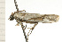  ( - 08-NSWHH-1151)  @12 [ ] CreativeCommons - Attribution (2009) Unspecified Centre for Biodiversity Genomics