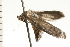  ( - 08-NSWHH-1167)  @12 [ ] CreativeCommons - Attribution (2009) Unspecified Centre for Biodiversity Genomics