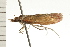  ( - 08-NSWHH-1169)  @12 [ ] CreativeCommons - Attribution (2009) Unspecified Centre for Biodiversity Genomics
