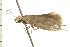  ( - 08-NSWHH-1207)  @12 [ ] CreativeCommons - Attribution (2009) Unspecified Centre for Biodiversity Genomics
