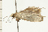  ( - 08-NSWHH-1236)  @12 [ ] CreativeCommons - Attribution (2009) Unspecified Centre for Biodiversity Genomics