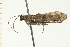  ( - 08-NSWHH-1298)  @13 [ ] CreativeCommons - Attribution (2009) Unspecified Centre for Biodiversity Genomics