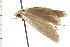  ( - 08-NSWHH-1308)  @12 [ ] CreativeCommons - Attribution (2009) Unspecified Centre for Biodiversity Genomics