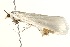  ( - 09-NSWHH-0269)  @13 [ ] CreativeCommons - Attribution (2010) Unspecified Centre for Biodiversity Genomics