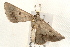  ( - 09-NSWHH-0349)  @13 [ ] CreativeCommons - Attribution (2010) Unspecified Centre for Biodiversity Genomics
