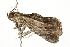  ( - 09-NSWHH-0428)  @12 [ ] CreativeCommons - Attribution (2010) Unspecified Centre for Biodiversity Genomics