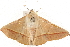  ( - 09-NSWHH-0020)  @11 [ ] CreativeCommons - Attribution (2010) Unspecified Centre for Biodiversity Genomics