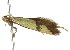  ( - 09-NSWHH-1651)  @13 [ ] CreativeCommons - Attribution (2010) Unspecified Centre for Biodiversity Genomics