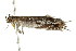  ( - 09-NSWHH-1655)  @12 [ ] CreativeCommons - Attribution (2010) Unspecified Centre for Biodiversity Genomics