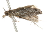  ( - 09-NSWHH-1072)  @12 [ ] CreativeCommons - Attribution (2010) Unspecified Centre for Biodiversity Genomics