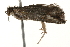  ( - 09-NSWHH-1084)  @12 [ ] CreativeCommons - Attribution (2010) Unspecified Centre for Biodiversity Genomics