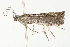  ( - 09-NSWHH-1105)  @14 [ ] CreativeCommons - Attribution (2010) Unspecified Centre for Biodiversity Genomics