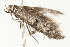  ( - 09-NSWHH-1122)  @12 [ ] CreativeCommons - Attribution (2010) Unspecified Centre for Biodiversity Genomics