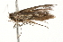  ( - 09-NSWHH-1136)  @13 [ ] CreativeCommons - Attribution (2010) Unspecified Centre for Biodiversity Genomics
