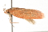  ( - 09-NSWHH-1142)  @13 [ ] CreativeCommons - Attribution (2010) Unspecified Centre for Biodiversity Genomics