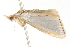  ( - 09-NSWHH-1143)  @12 [ ] CreativeCommons - Attribution (2010) Unspecified Centre for Biodiversity Genomics
