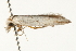  ( - 09-NSWHH-1151)  @13 [ ] CreativeCommons - Attribution (2010) Unspecified Centre for Biodiversity Genomics
