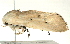  ( - BIOUG00907-F06)  @13 [ ] CreativeCommons - Attribution (2011) CBG Photography Group Centre for Biodiversity Genomics