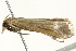 ( - BIOUG00908-A11)  @12 [ ] CreativeCommons - Attribution (2011) CBG Photography Group Centre for Biodiversity Genomics
