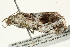  ( - BIOUG00909-D02)  @12 [ ] CreativeCommons - Attribution (2011) CBG Photography Group Centre for Biodiversity Genomics