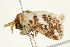  ( - BIOUG00909-E07)  @12 [ ] CreativeCommons - Attribution (2011) CBG Photography Group Centre for Biodiversity Genomics