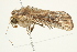  ( - BIOUG00909-F03)  @13 [ ] CreativeCommons - Attribution (2011) CBG Photography Group Centre for Biodiversity Genomics