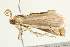  ( - BIOUG00911-G12)  @12 [ ] CreativeCommons - Attribution (2011) CBG Photography Group Centre for Biodiversity Genomics