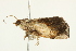  ( - BIOUG00911-H09)  @12 [ ] CreativeCommons - Attribution (2011) CBG Photography Group Centre for Biodiversity Genomics