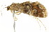  ( - BIOUG00953-G08)  @12 [ ] CreativeCommons - Attribution (2011) CBG Photography Group Centre for Biodiversity Genomics