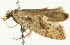  ( - BIOUG00954-A06)  @13 [ ] CreativeCommons - Attribution (2011) CBG Photography Group Centre for Biodiversity Genomics